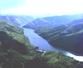 Portugal - Douro Valley